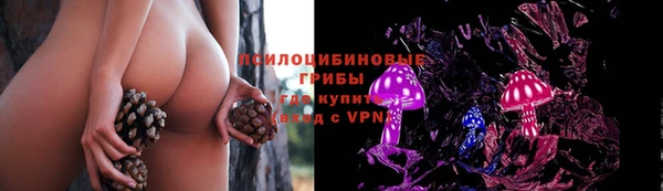 героин Покачи