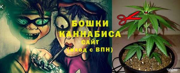 героин Покачи