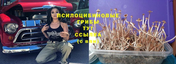 героин Покачи