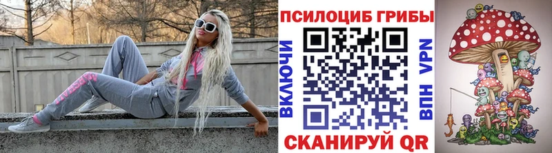 это как зайти  купить наркотик  Усть-Илимск  Галлюциногенные грибы Cubensis 